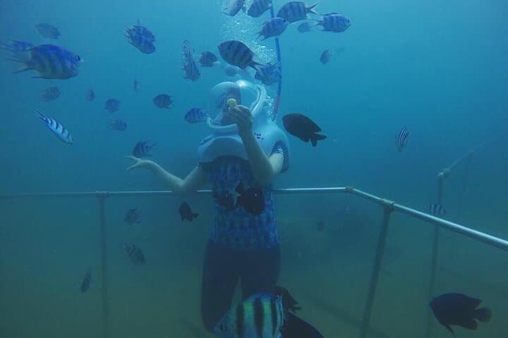 Cham Island Sea Walk and Snorkel: Speedboat Day Trip from Hoi An photo 5