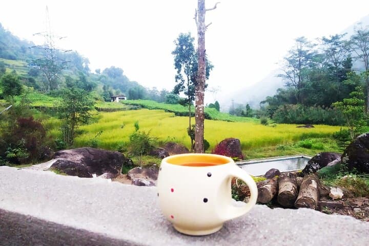 Sunrise in Darjeeling: Tiger Hill, Tea Gardens & Himalayan Dawn Tour