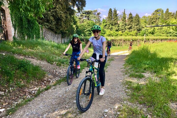 E-Bike Tour and Valtenesi Wine Tasting from Polpenazze on Lake Garda