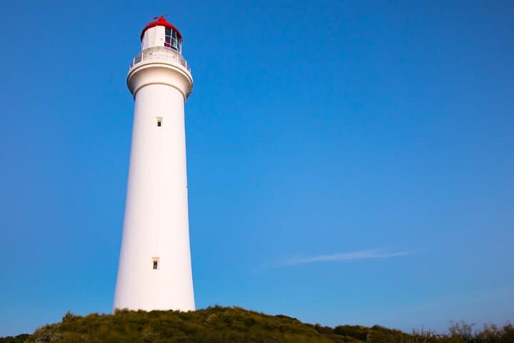 Great Ocean Road Full-Day: Twelve Apostles, Loch Ard Gorge & Kennett River Koala Walk photo 5