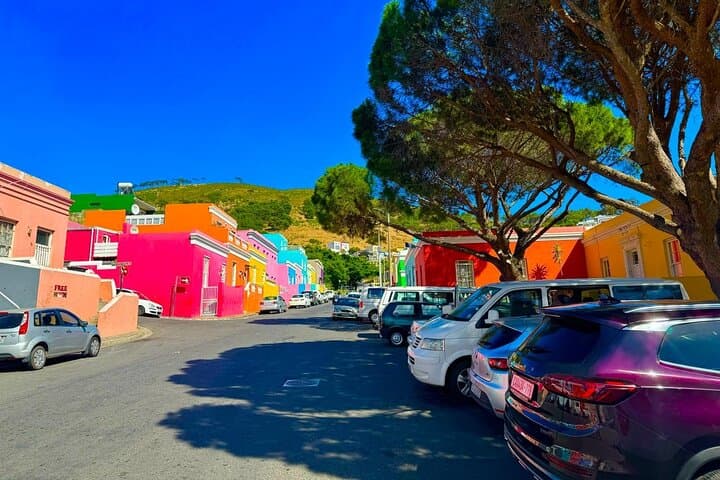 Cape Peninsula Private Tour: Cape Point, Boulders Penguin Beach & Chapman's Peak photo 3