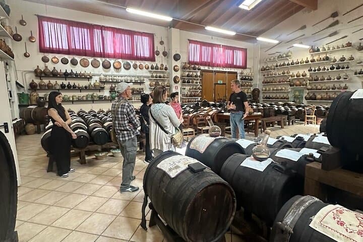 Parmesan and Balsamic Day Trip with Ferrari Museum from Bologna photo 3