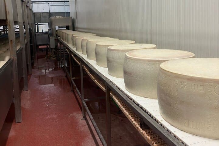 Parmesan and Balsamic Day Trip with Ferrari Museum from Bologna photo 6