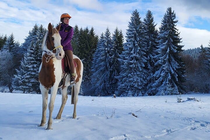 Horseback Riding in Borovets: Rila Forest Trails & Beginner-Friendly Ranch Ride photo 3