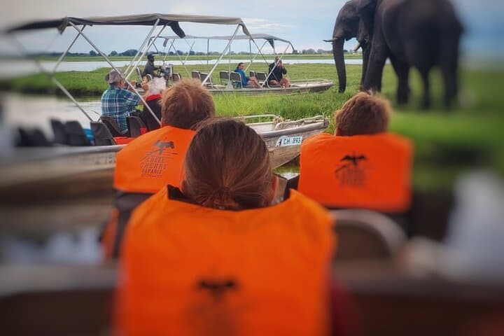 Chobe 3-Hour Sunset Boat Cruise: Kasane Wildlife on the Chobe River