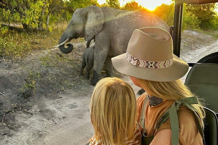 Three-Hour Chobe Game Drive — Kasane Safari for Elephants, Hippos & Lions