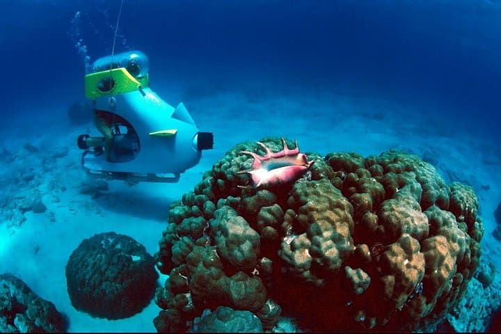 Mauritius Northern Discovery: Submarine Scooter, Beaches & Port Louis Market photo 1