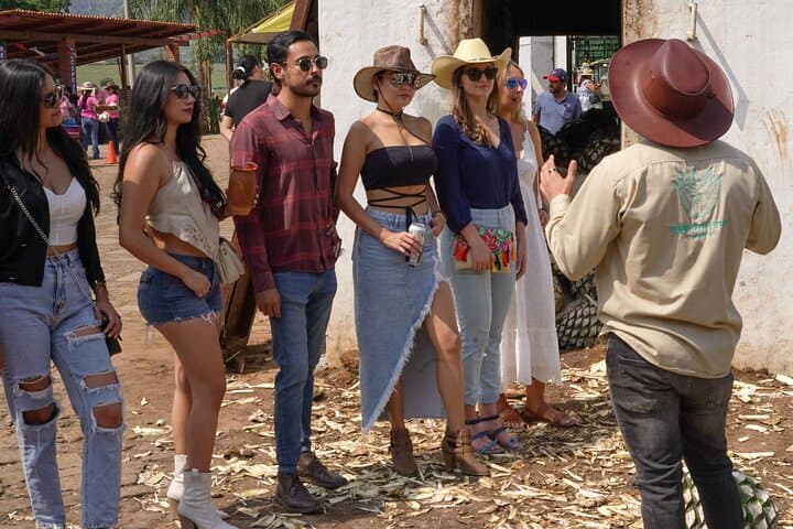 Full-Day Tequila & Amatitán Tour — Tequila Tasting, Agave Fields and Historic Caves
