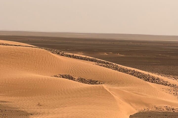 Merzouga Camel Expeditions: Overnight Camel Ride, Sandboarding & Desert Camp photo 5
