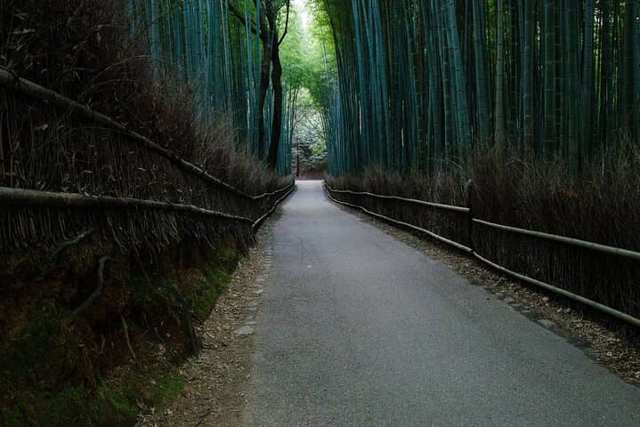 Kyoto E-Bike Tour: Arashiyama Bamboo Forest & Golden Pavilion Ride photo 5