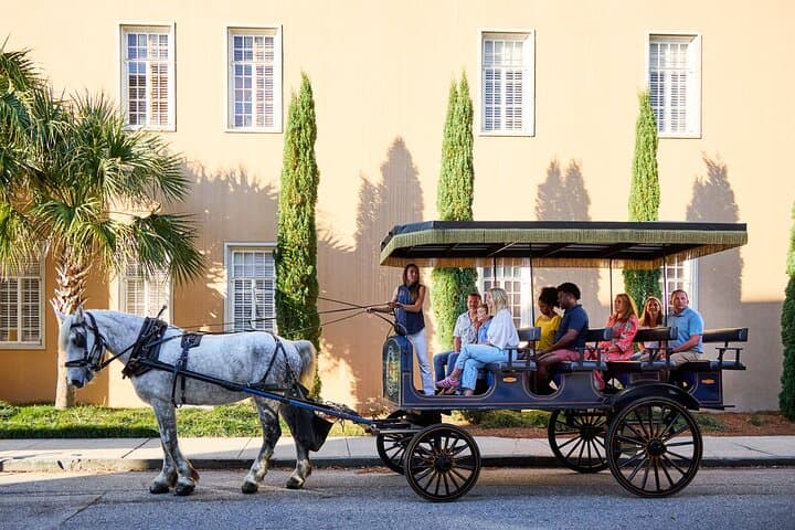Historic Charleston Horse-Drawn Carriage Tour: 1-Hour Guided Ride Through the Old City photo 6