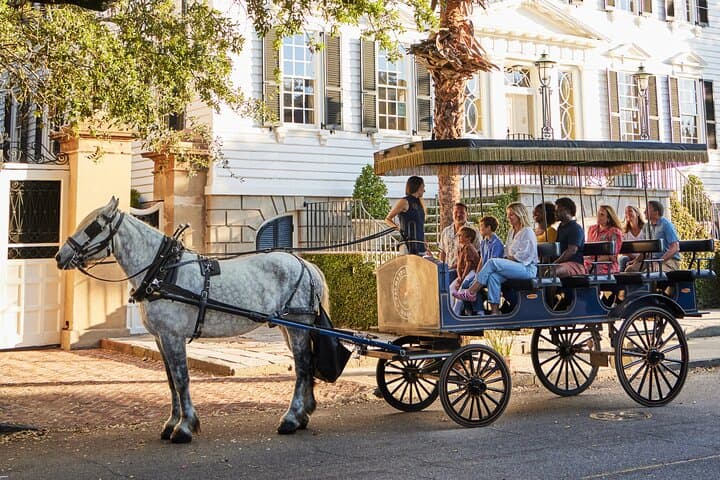 Historic Charleston Horse-Drawn Carriage Tour: 1-Hour Guided Ride Through the Old City