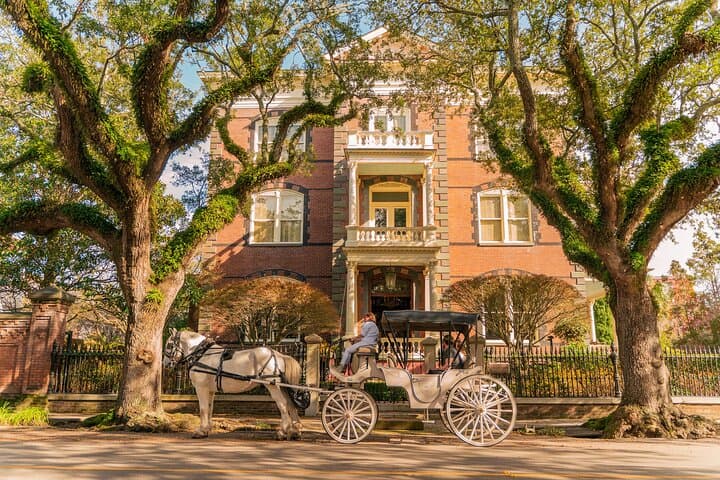 Private Daytime Horse-Drawn Carriage Tour of Historic Charleston photo 1