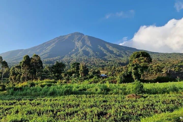 Kisoro Cultural & Nature Experience: Lake Mutanda, Batwa Trail and Coffee Tours photo 2