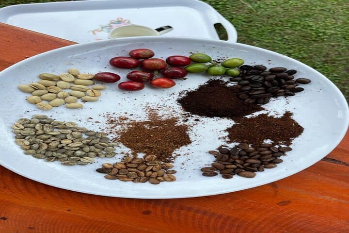 Kisoro Cultural & Nature Experience: Lake Mutanda, Batwa Trail and Coffee Tours photo 6