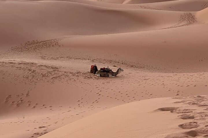 6-Day-Authentic-Morocco-Tour-Marrakech-to-Merzouga-Fez-Chefchaouen photo 6