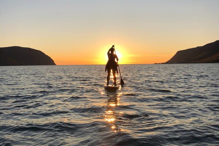 Wakeboarding, Waterskiing & Paddleboarding in the Westfjords (Flateyri)