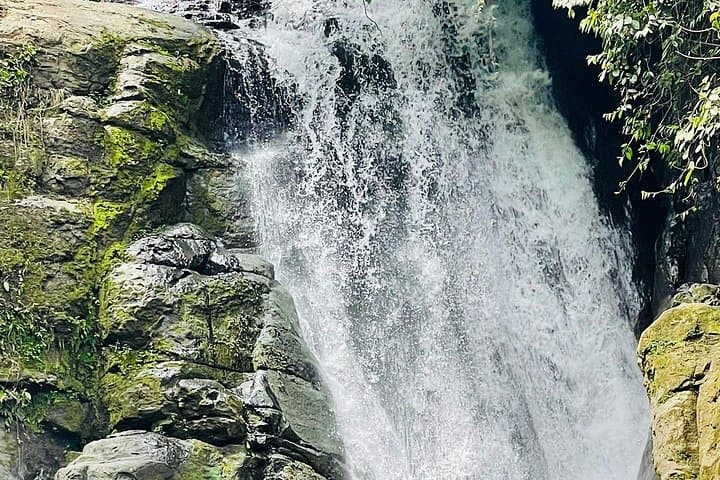 Puerto Viejo Hidden Gems & Bri Bri Waterfall Tour with Iguana Project Visit photo 3