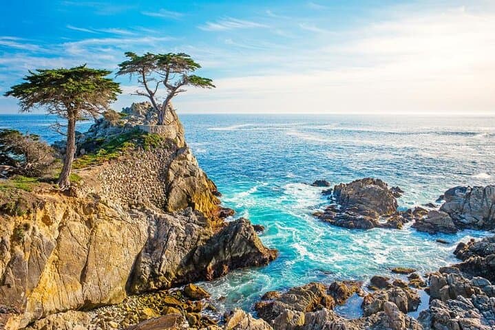 Carmel Coastal Drive: Private 17-Mile Drive Tour with Pintours App