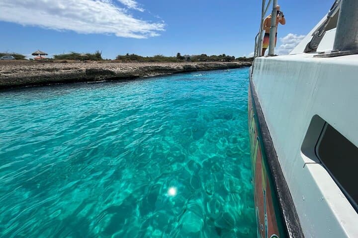 Sail to the Antilla: Aruba Catamaran Snorkel, Shipwreck & Turtle Swim photo 4