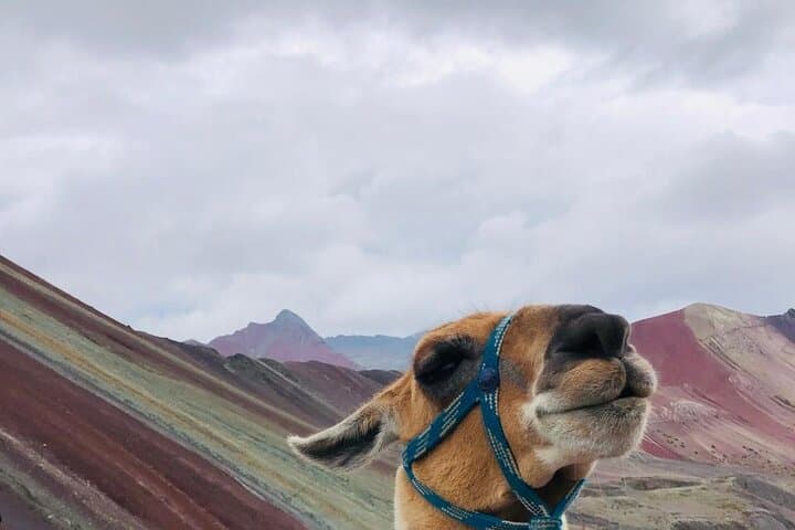 Rainbow Mountain Hike: Vinicunca Day Trek from Cusco photo 4