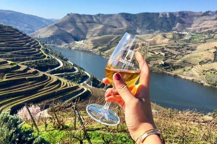 Private Douro Valley Wine Tour: Boat Cruise, Train Ride & Traditional Lunch