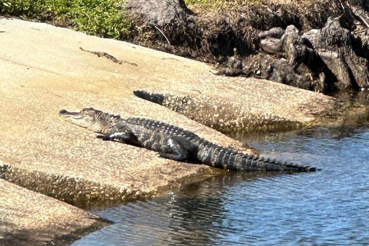 2-Hour Kissimmee E-Bike Lakefront Adventure: Self-Guided Tour Near Orlando photo 4