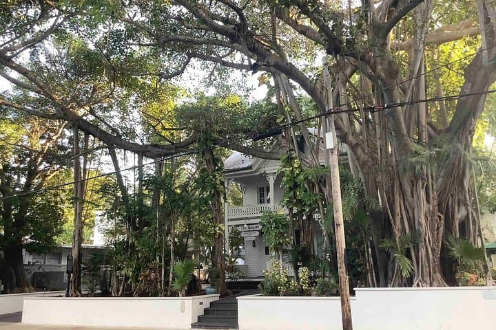 Self-Guided Key West History Audio Walking Tour — Explore Hemingway House, Waterfront & Hidden Gems photo 3