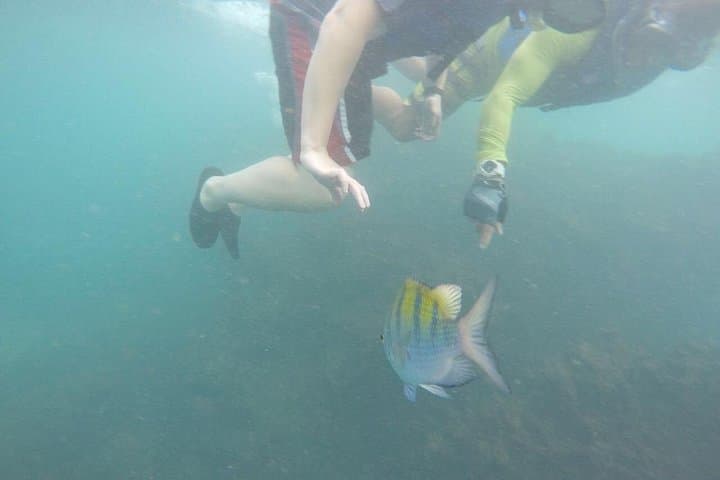 Quepos Ocean Kayaking and Snorkeling: Paddle to Volcanic Reefs and Ancient Turtle Traps photo 4