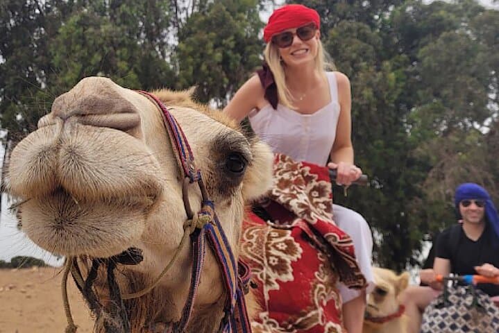 Agadir Camel Ride in Souss Massa National Park — 2-Hour Caravan with Tea & Pastries photo 1