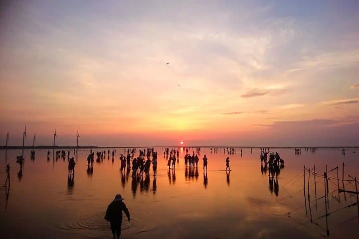 Taichung Landmarks & Gaomei Wetlands Day Trip: Rainbow Village, Miyahara & Sunset at Gaomei