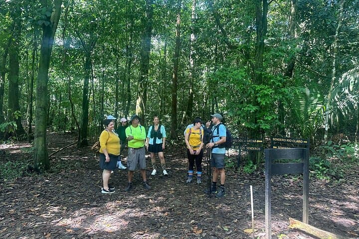 Into Corcovado: 8-Hour Rainforest Safari from Puerto Jiménez photo 3