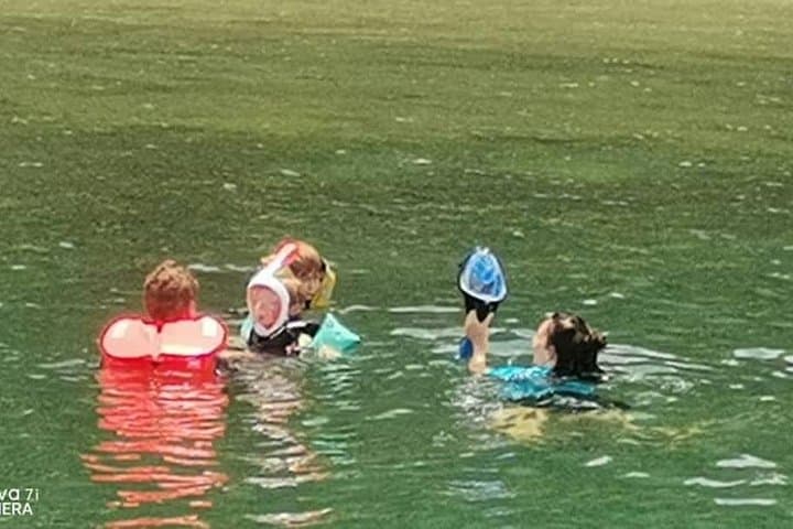 Satang Island Snorkeling & Sea Bird Watching from Kuching — Turtle Hatchery, Coral Gardens & Dolphin Chance