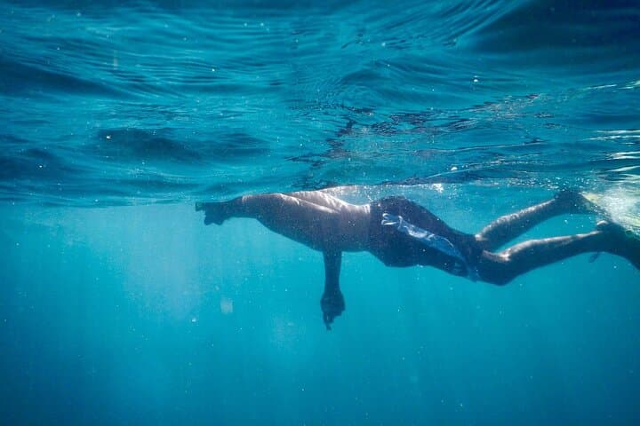 tortuga-island-spider-monkey-bioluminescent-snorkel-tambor