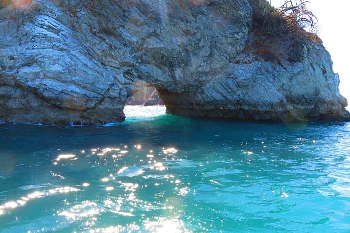 tortuga-island-spider-monkey-bioluminescent-snorkel-tambor photo 2