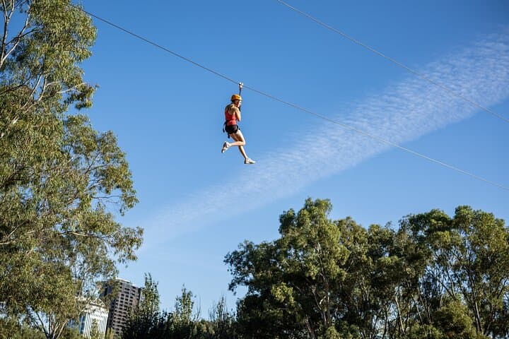 Adelaide Tree-Top Adventure: Zip Lines, Tarzan Swing & 52-Station Aerial Course photo 3