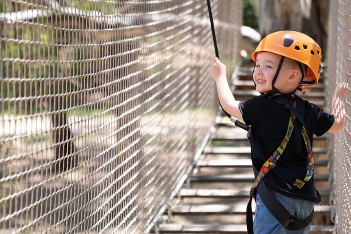 Tree Top Adventure for Little Climbers — TreeClimb Adelaide Kids Course