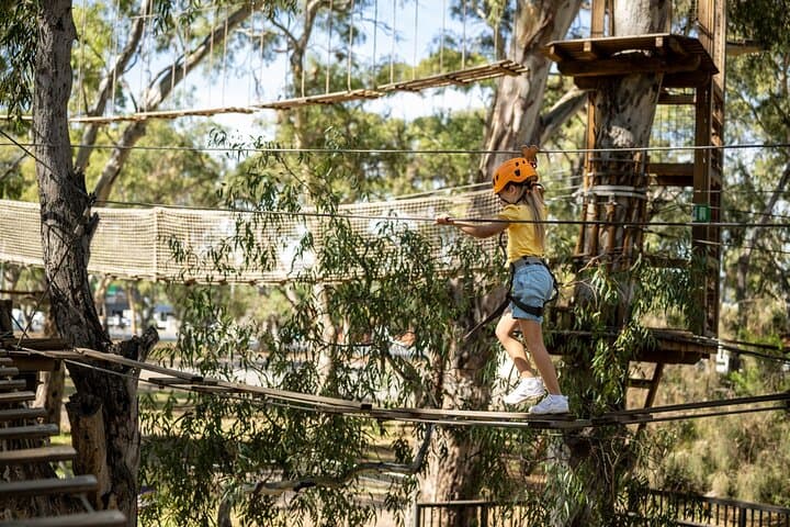 Tree Top Adventure for Little Climbers — TreeClimb Adelaide Kids Course photo 4
