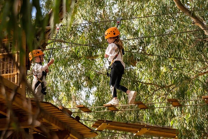 Tree Top Adventure for Little Climbers — TreeClimb Adelaide Kids Course photo 2