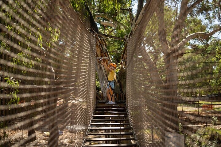Tree Top Adventure for Little Climbers — TreeClimb Adelaide Kids Course photo 6