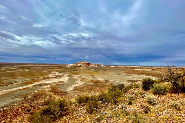 Exploring the Painted Desert: Full-Day Outback Tour from Coober Pedy