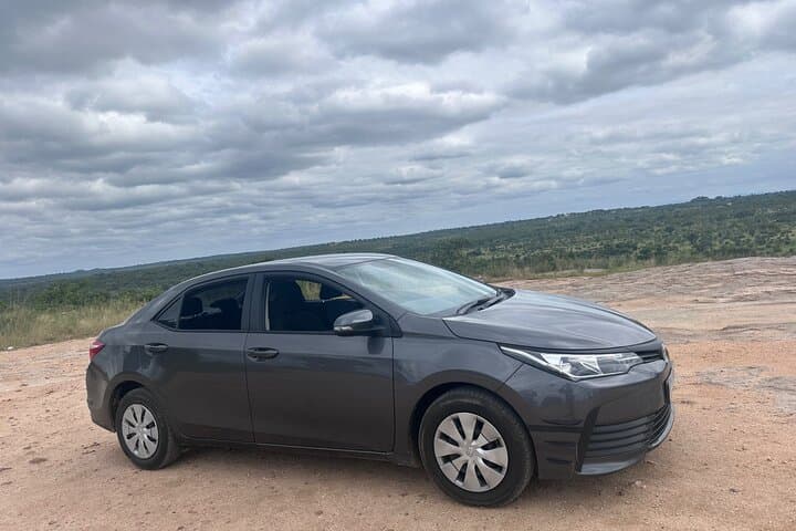 Private Executive Transfer to Sun City from OR Tambo — Comfortable Van to Pilanesberg photo 4