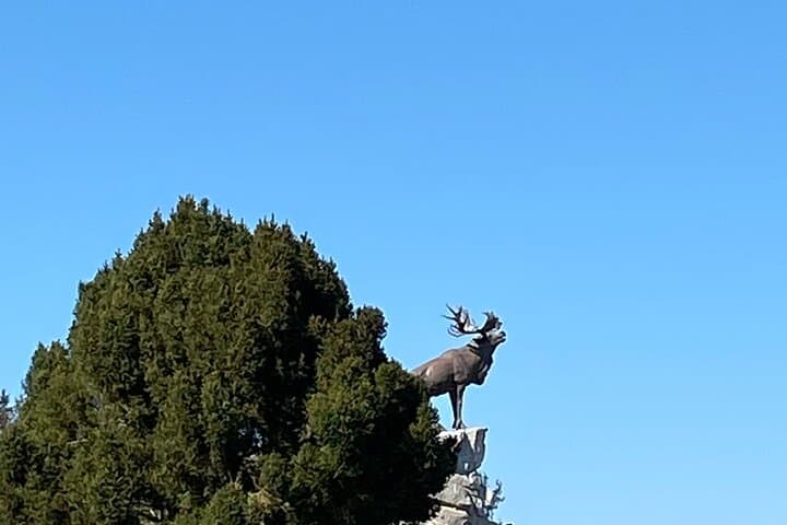 Full-Day WWI Battlefields Tour: Vimy Ridge & Somme from Arras or Albert photo 4