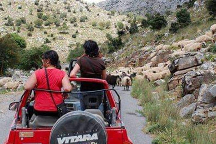 Full-Day 4x4 Self-Drive Safari in East Crete — Dikti Mountains & Lassithi Plateau photo 4