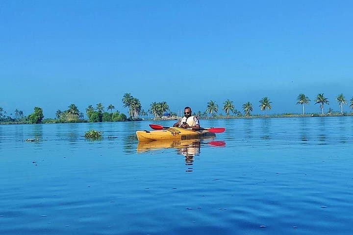 Kadamakudy Kayak: Mangrove Channels & Village Life in Kochi photo 1