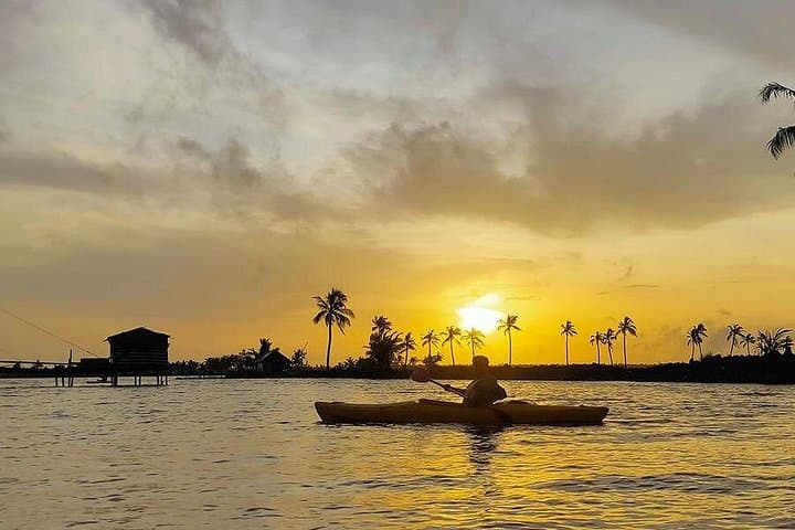 Kadamakudy Kayak: Mangrove Channels & Village Life in Kochi photo 2
