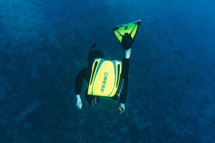 Explore Cinque Terre: Marine Biology & Snorkelling Experience in Monterosso photo 6