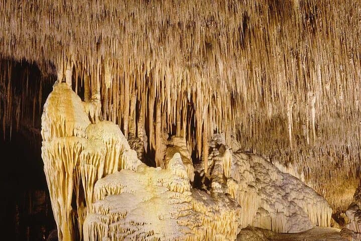 Half-Day Tour to the Caves of Drach — Underground Concert & Lake Martel photo 5