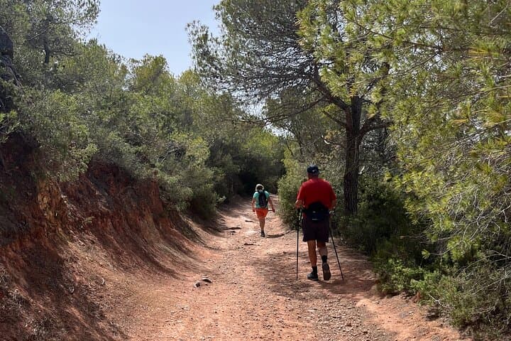 Guided Hiking Tours in Ibiza — Coastal Trails & Local-Led Walks photo 3