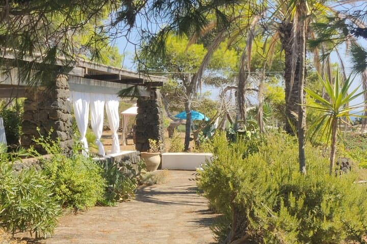 Seaside Yoga in Pantelleria: Vinyasa, Hatha, Yin & Mantras Over Olive Groves